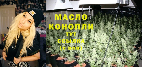 молекула духа Волоколамск