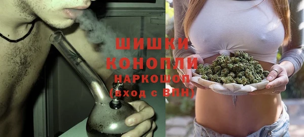 молекула духа Волоколамск