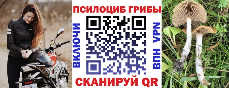 Псилоцибиновые грибы прущие грибы Симферополь