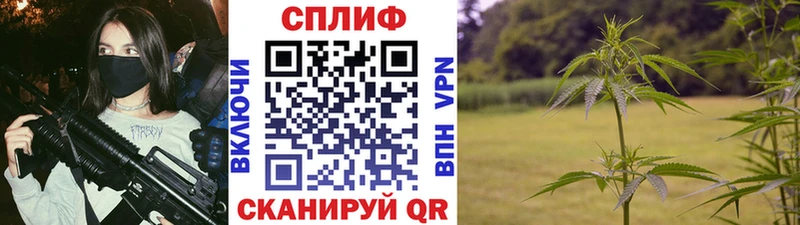 мориарти телеграм  Симферополь  МАРИХУАНА план 